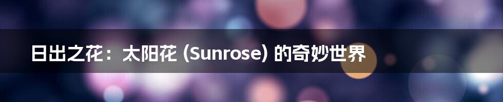 日出之花：太阳花 (Sunrose) 的奇妙世界