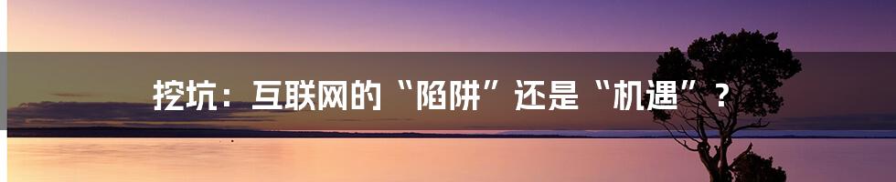 挖坑：互联网的“陷阱”还是“机遇”？