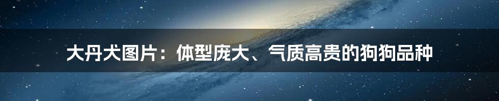 大丹犬图片：体型庞大、气质高贵的狗狗品种