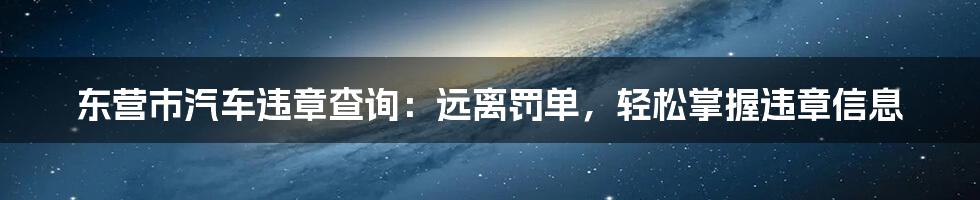 东营市汽车违章查询：远离罚单，轻松掌握违章信息