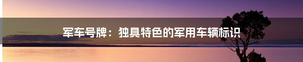 军车号牌：独具特色的军用车辆标识