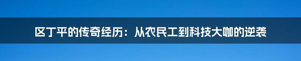 区丁平的传奇经历：从农民工到科技大咖的逆袭