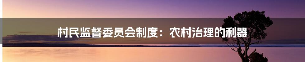 村民监督委员会制度：农村治理的利器