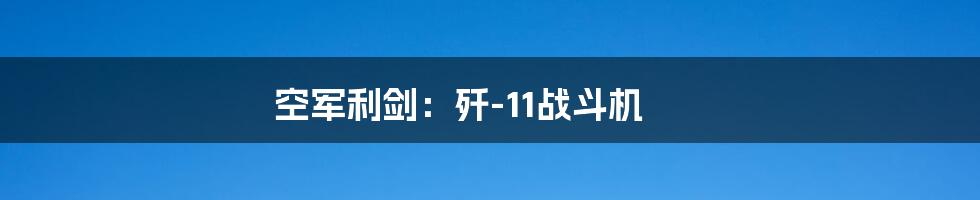 空军利剑：歼-11战斗机