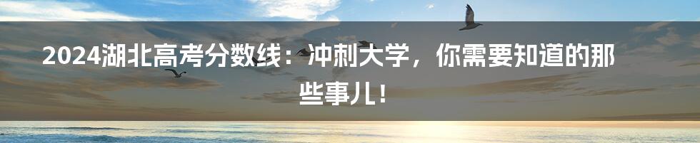 2024湖北高考分数线：冲刺大学，你需要知道的那些事儿！