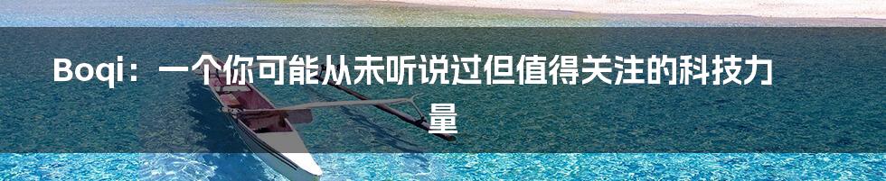 Boqi：一个你可能从未听说过但值得关注的科技力量