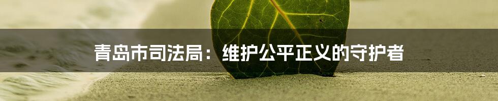 青岛市司法局：维护公平正义的守护者