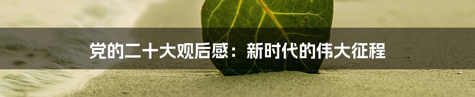 党的二十大观后感：新时代的伟大征程