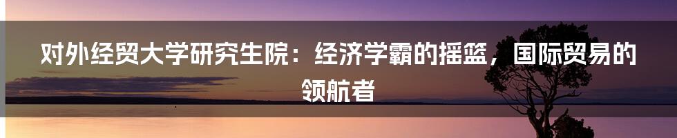 对外经贸大学研究生院：经济学霸的摇篮，国际贸易的领航者