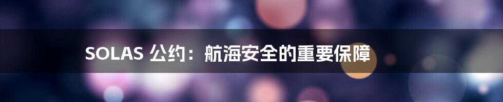 SOLAS 公约：航海安全的重要保障