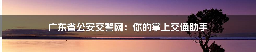 广东省公安交警网：你的掌上交通助手