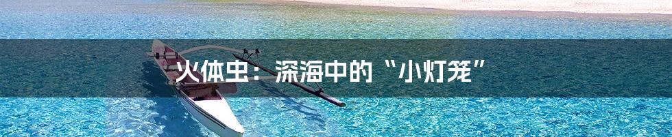 火体虫：深海中的“小灯笼”