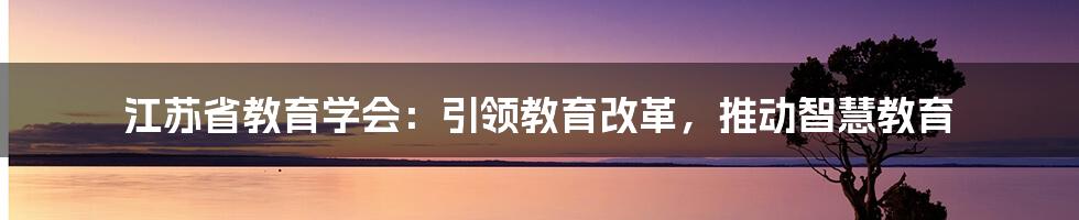 江苏省教育学会：引领教育改革，推动智慧教育