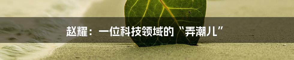 赵耀：一位科技领域的“弄潮儿”