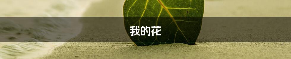 我的花