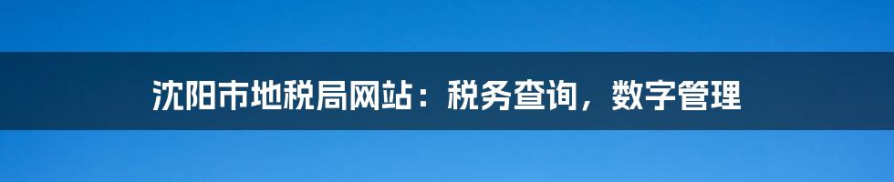 沈阳市地税局网站：税务查询，数字管理