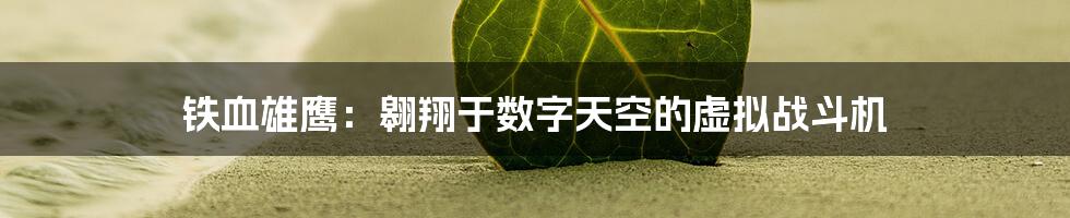 铁血雄鹰：翱翔于数字天空的虚拟战斗机