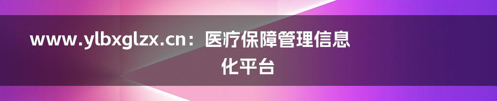 www.ylbxglzx.cn：医疗保障管理信息化平台