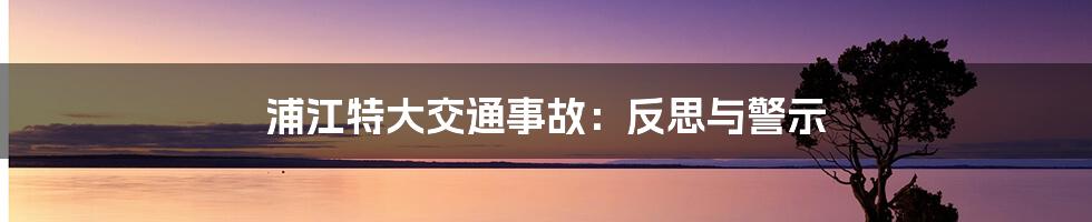 浦江特大交通事故：反思与警示