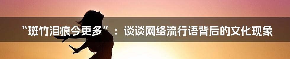 “斑竹泪痕今更多”：谈谈网络流行语背后的文化现象