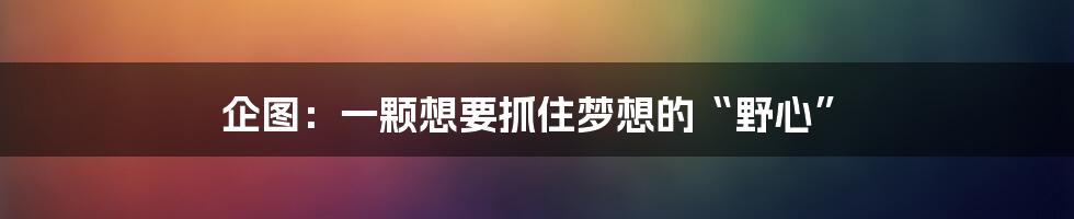 企图：一颗想要抓住梦想的“野心”