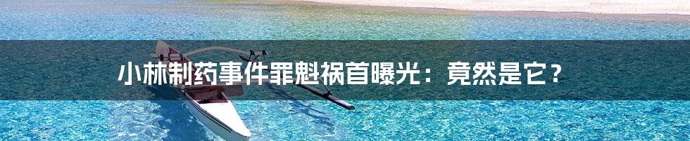 小林制药事件罪魁祸首曝光：竟然是它？