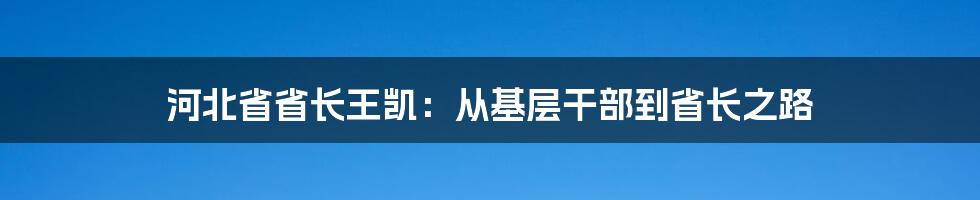 河北省省长王凯：从基层干部到省长之路