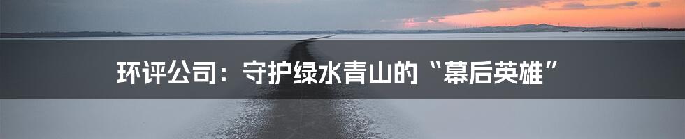 环评公司：守护绿水青山的“幕后英雄”