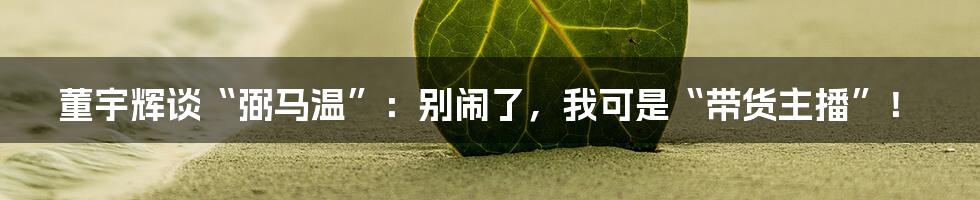 董宇辉谈“弼马温”：别闹了，我可是“带货主播”！