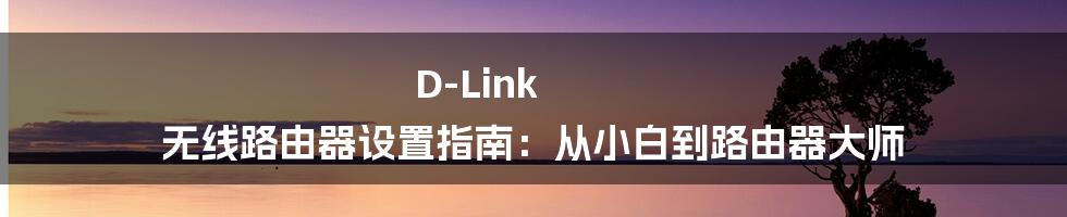 D-Link 无线路由器设置指南：从小白到路由器大师