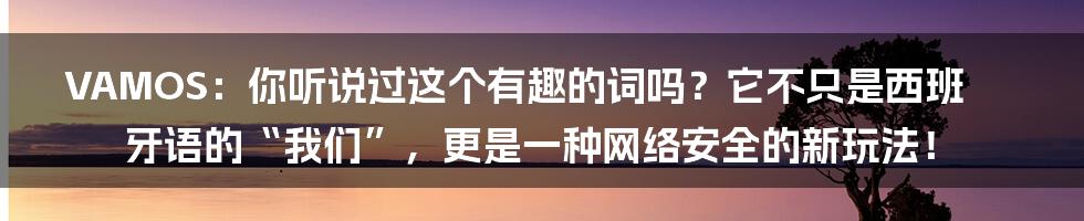 VAMOS：你听说过这个有趣的词吗？它不只是西班牙语的“我们”，更是一种网络安全的新玩法！