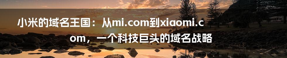 小米的域名王国：从mi.com到xiaomi.com，一个科技巨头的域名战略