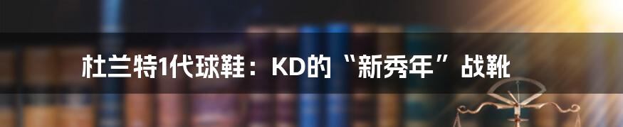 杜兰特1代球鞋：KD的“新秀年”战靴