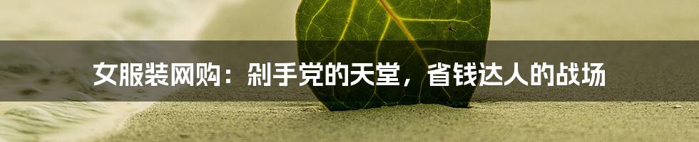 女服装网购：剁手党的天堂，省钱达人的战场