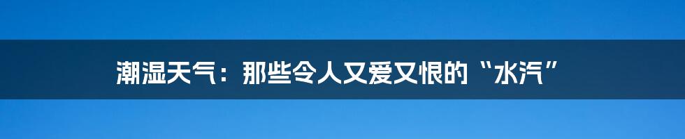 潮湿天气：那些令人又爱又恨的“水汽”