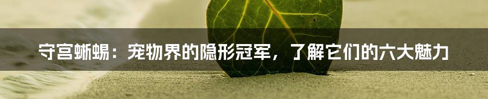 守宫蜥蜴：宠物界的隐形冠军，了解它们的六大魅力