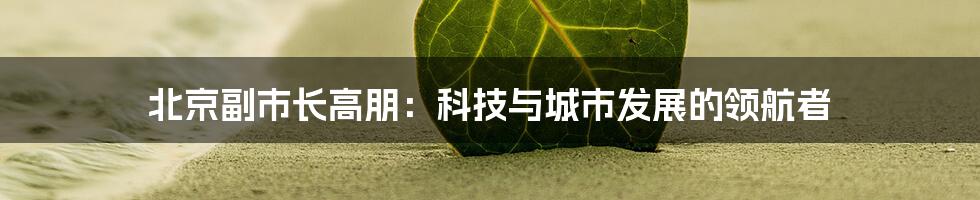 北京副市长高朋：科技与城市发展的领航者