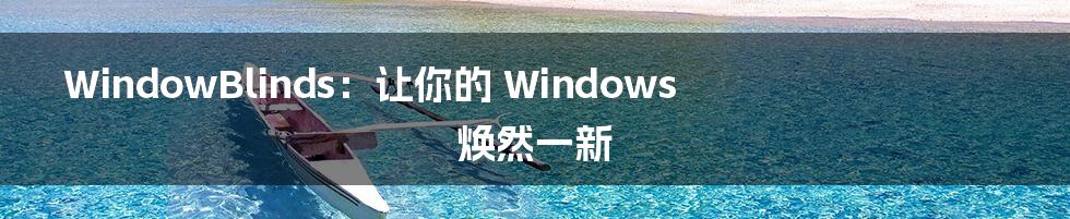 WindowBlinds：让你的 Windows 焕然一新