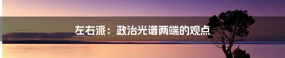 左右派：政治光谱两端的观点