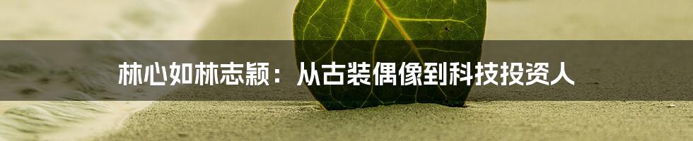 林心如林志颖：从古装偶像到科技投资人