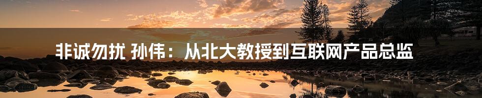 非诚勿扰 孙伟：从北大教授到互联网产品总监