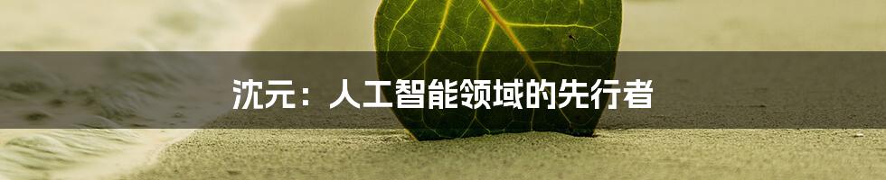 沈元：人工智能领域的先行者