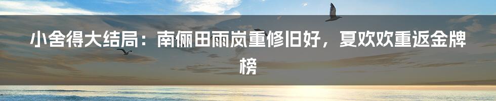 小舍得大结局：南俪田雨岚重修旧好，夏欢欢重返金牌榜