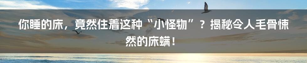 你睡的床，竟然住着这种“小怪物”？揭秘令人毛骨悚然的床螨！