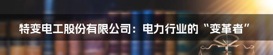 特变电工股份有限公司：电力行业的“变革者”