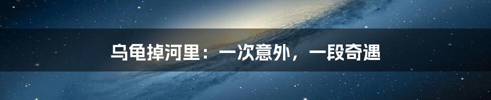 乌龟掉河里：一次意外，一段奇遇