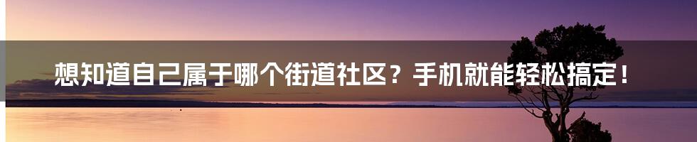 想知道自己属于哪个街道社区？手机就能轻松搞定！