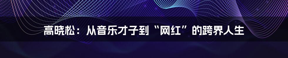 高晓松：从音乐才子到“网红”的跨界人生