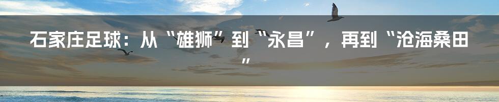 石家庄足球：从“雄狮”到“永昌”，再到“沧海桑田”