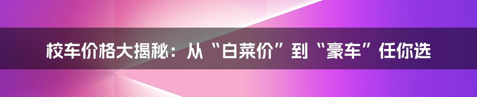 校车价格大揭秘：从“白菜价”到“豪车”任你选